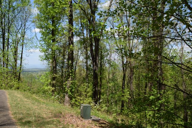 Lot 189 Hawks Nest Court, Ellijay, GA 30536