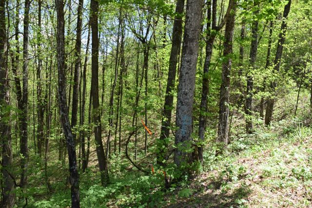Lot 189 Hawks Nest Court, Ellijay, GA 30536