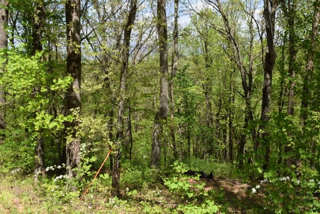 Lot 189 Hawks Nest Court, Ellijay, GA 30536