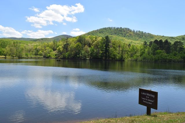 Lot 189 Hawks Nest Court, Ellijay, GA 30536