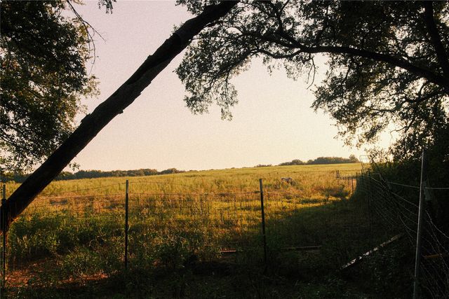 157 Private Road 142, Covington, TX 76636