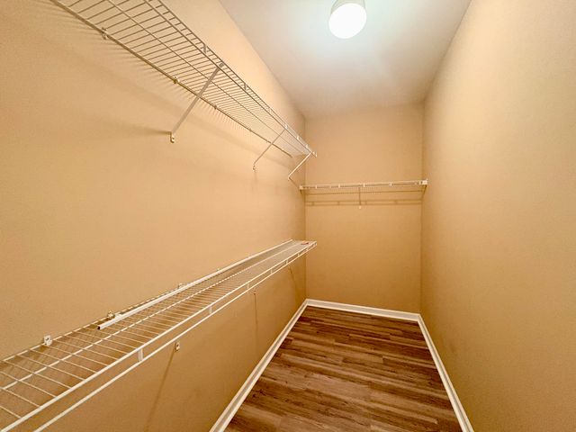 290 Baneberry Loop, Lexington, SC 29073