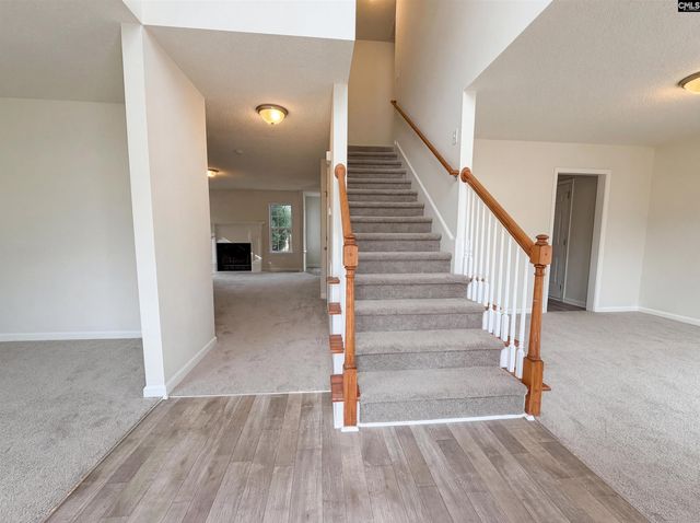 217 Branchview Drive, Columbia, SC 29229