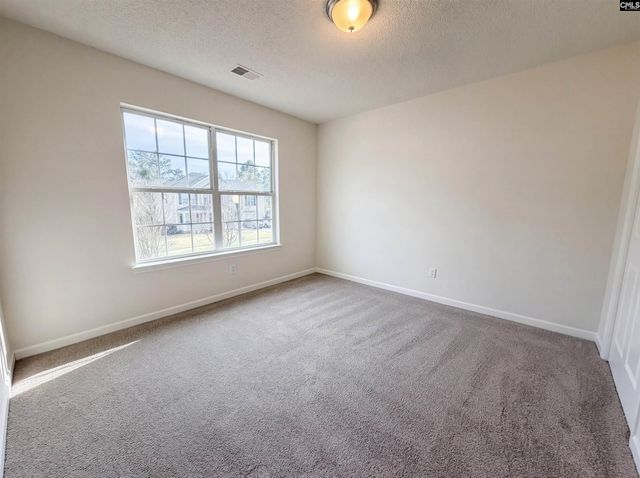 217 Branchview Drive, Columbia, SC 29229