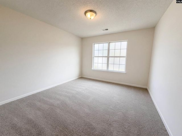 217 Branchview Drive, Columbia, SC 29229