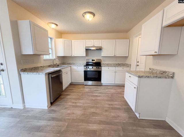 217 Branchview Drive, Columbia, SC 29229