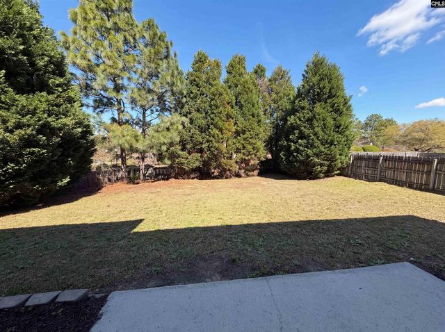 217 Branchview Drive, Columbia, SC 29229