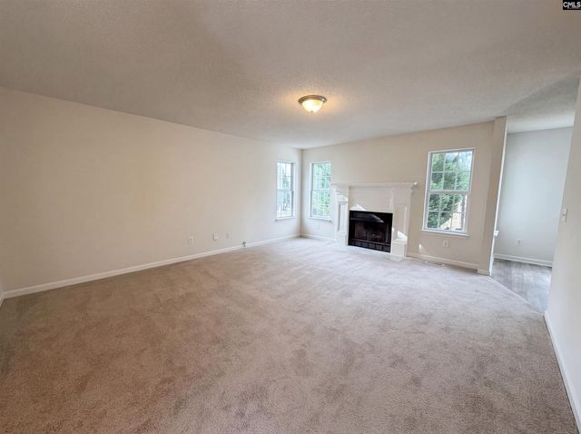 217 Branchview Drive, Columbia, SC 29229