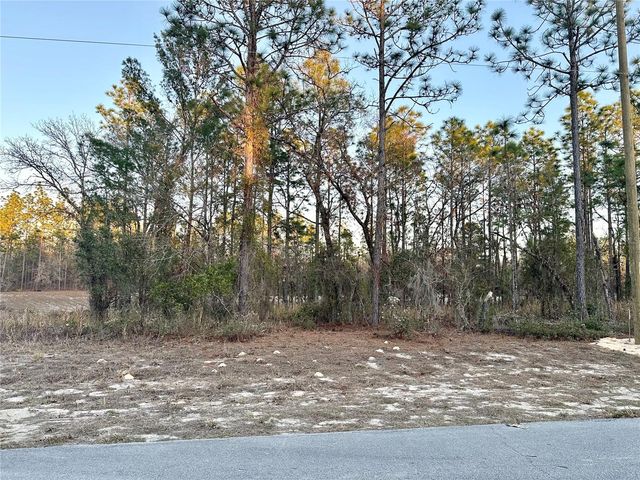 0 SW 88TH COURT, Ocala, FL 34473