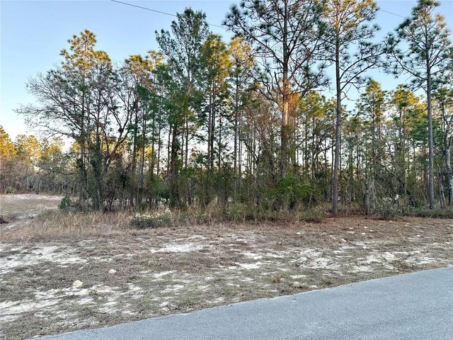 0 SW 88TH COURT, Ocala, FL 34473