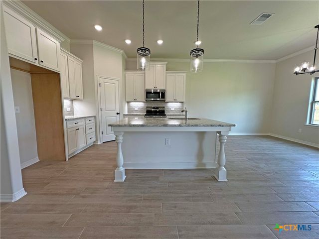 226 Sand Lilly Drive, Temple, TX 76502