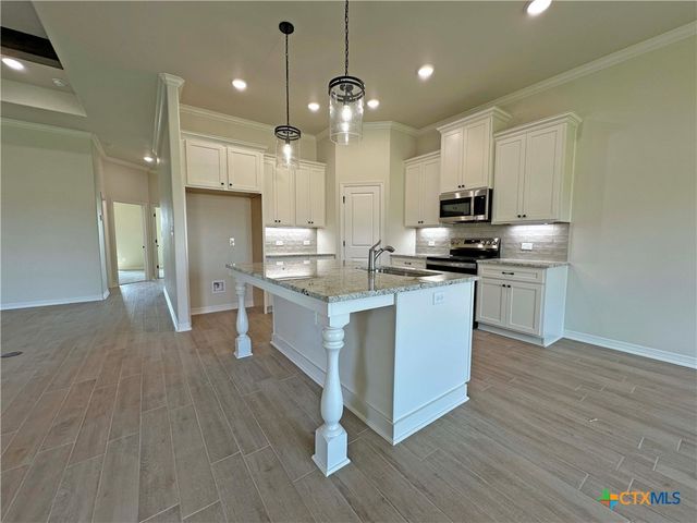226 Sand Lilly Drive, Temple, TX 76502