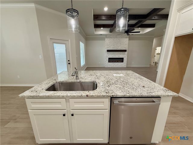 226 Sand Lilly Drive, Temple, TX 76502