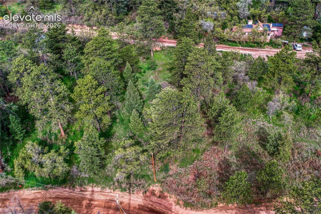 Buena Vista Avenue, Palmer Lake, CO 80133 — exterior