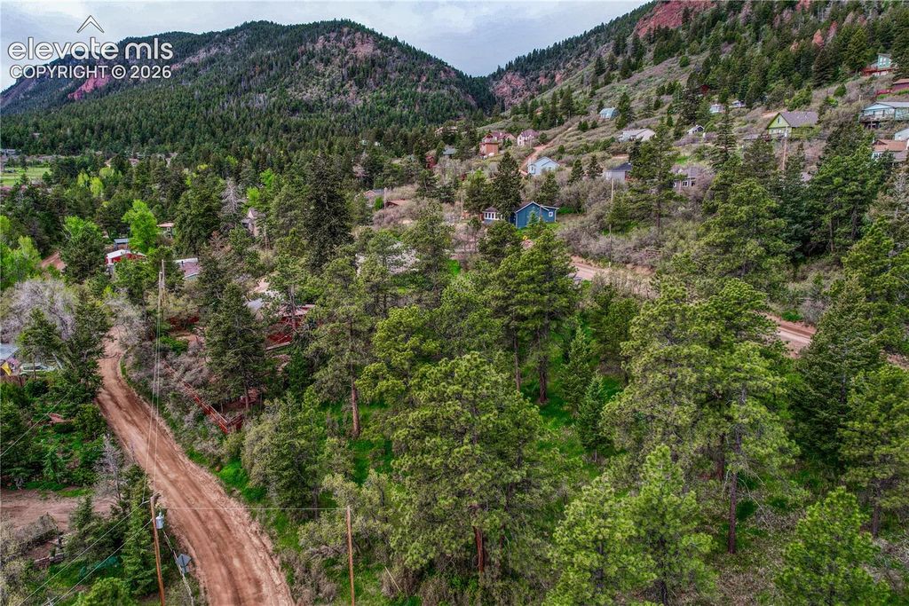 Buena Vista Avenue, Palmer Lake, CO 80133 — photo 2