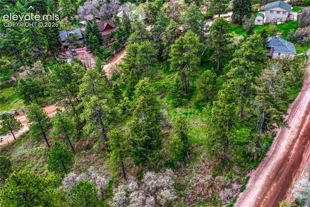 Buena Vista Avenue, Palmer Lake, CO 80133 — photo 5