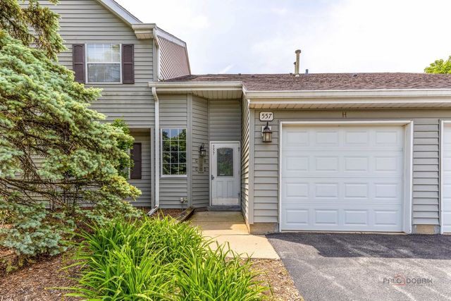 557 E Shag Bark Lane H, Streamwood, IL 60107