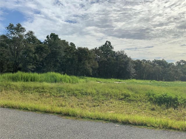 SE 39TH. LOT 33 STREET, Morriston, FL 32668