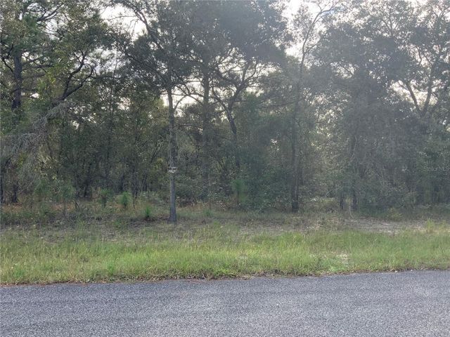 SE 39TH. LOT 33 STREET, Morriston, FL 32668