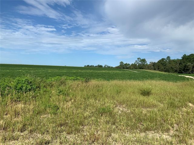 SE 39TH. LOT 33 STREET, Morriston, FL 32668