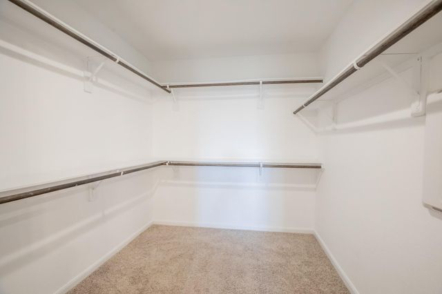 1407 Wheatland Terrance Lane, Missouri City, TX 77459