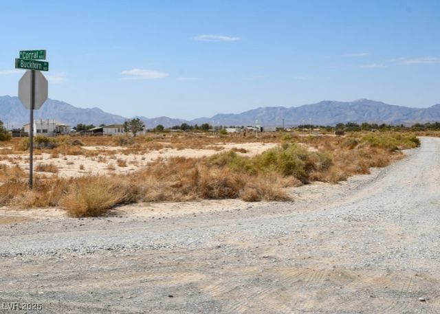 671 Buckhorn Avenue, Pahrump, NV 89060
