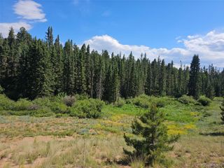 1164 Arapahoe Creek Trail, Florissant, CO 80816