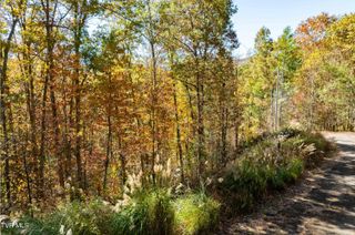 Tbd 000 Blackberry Hill Lane, Mountain City, TN 37683