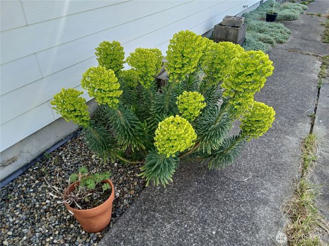 10 Spruce Court, South Bend, WA 98586