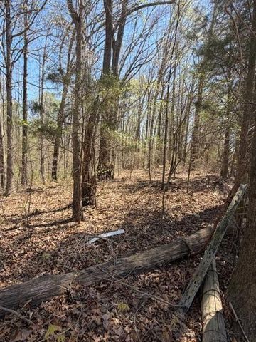 4485 Poplar Springs Road, Gainesville, GA 30507