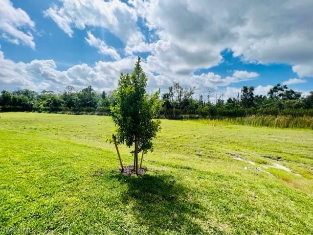 1066 ENBROOK LOOP, Naples, FL 34114