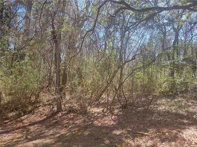 0 Lawrence Steiner Road, Theodore, AL 36582