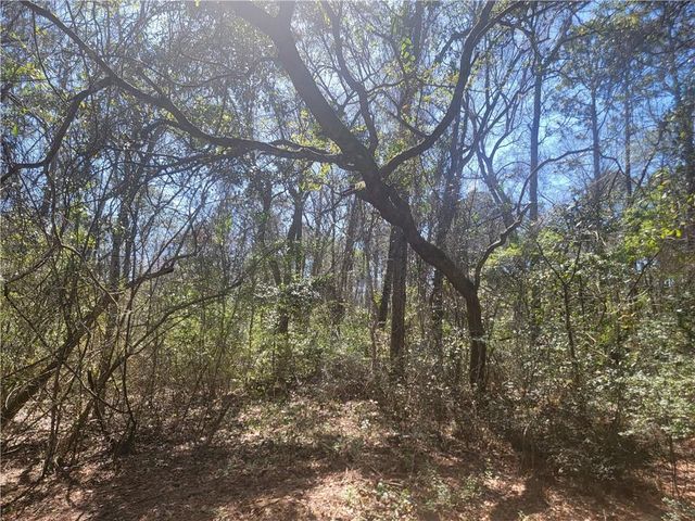 0 Lawrence Steiner Road, Theodore, AL 36582