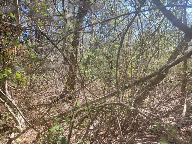 0 Lawrence Steiner Road, Theodore, AL 36582