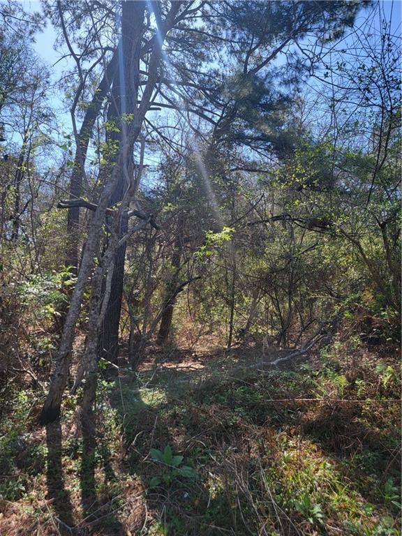 0 Lawrence Steiner Road, Theodore, AL 36582 — photo 4