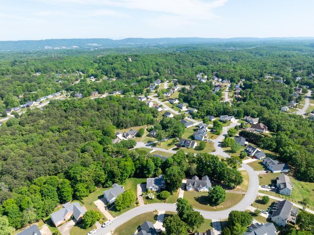 6511 River Stream Drive, Harrison, TN 37341