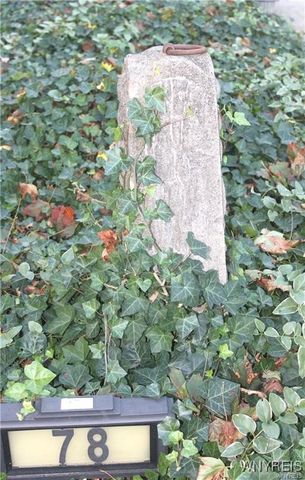 78 Evans Street, Amherst, NY 14221