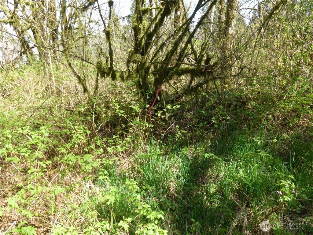 16020 NE Bel-Red Road, Bellevue, WA 98005