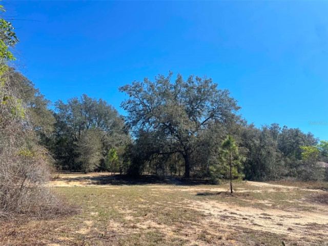17530 SE HIGHWAY 452, Umatilla, FL 32784
