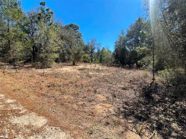 17530 SE HIGHWAY 452, Umatilla, FL 32784