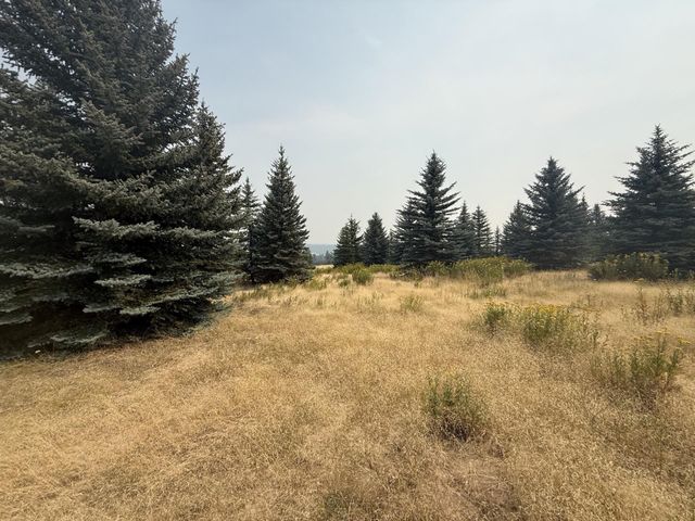 112XX S Spruce Tree Ln, Mica, WA 99023