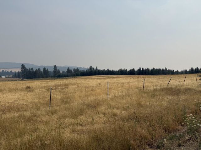 112XX S Spruce Tree Ln, Mica, WA 99023