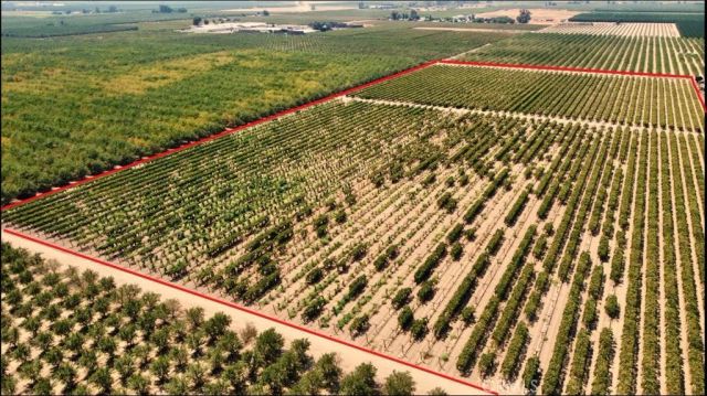 1 Indianola, Sanger, CA 93657