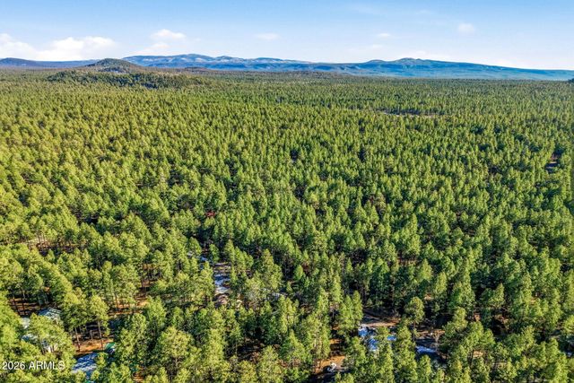 8574 East Lane, Pinetop, AZ 85935