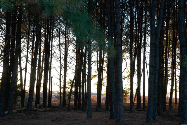 451 Glenwood Trail, Lamar, AR 72846