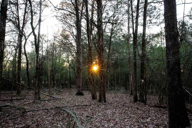 451 Glenwood Trail, Lamar, AR 72846