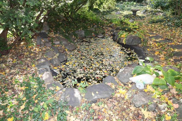 802 W Colfax Street, South Bend, IN 46601