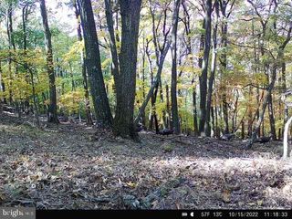 1344 PINEY MOUNTAIN RD, Romney, WV 26757