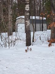0000 N N. St. Helen RD., St. Helen, MI 48656