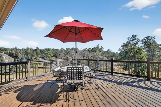 19295 Silver Sage Way, Monument, CO 80132